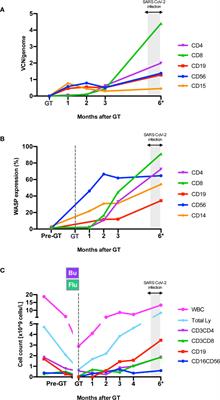 Mild SARS-CoV-2 Infection After Gene Therapy in a Child With Wiskott-Aldrich Syndrome: A Case Report